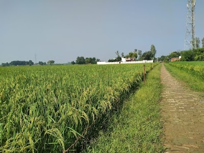 Rudhauli Bazar