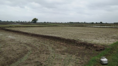 Baktara