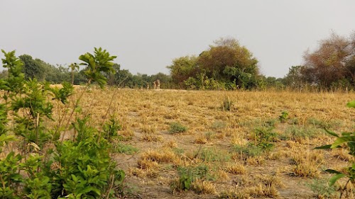 Jim Corbett National Park