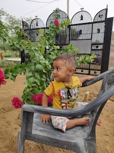 बालान कृषि फार्म