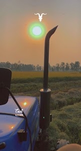 Chandi farms