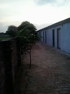 Kamla Prasad Memorial Shiksha Niketan