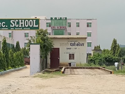 I.P.S School