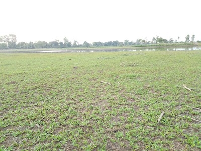 Neorajpur