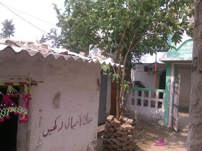 Purainiya