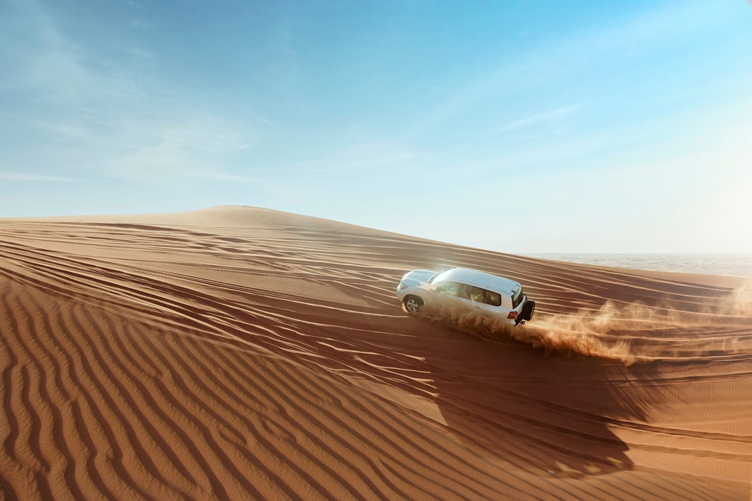 Dubai Desert Safari