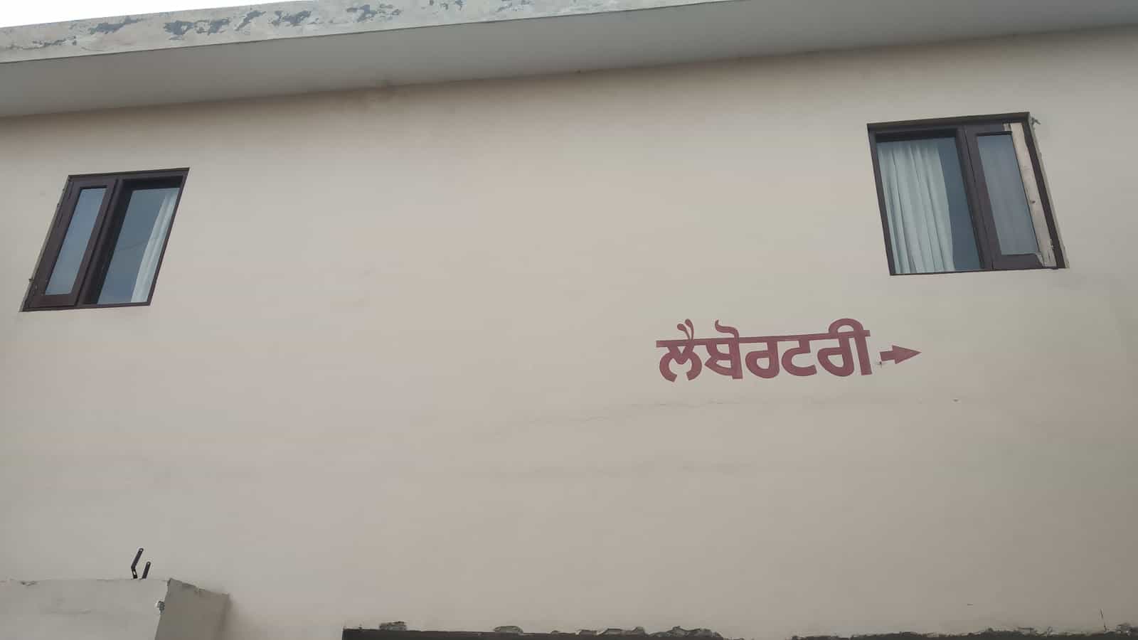 Cattle Feed In India