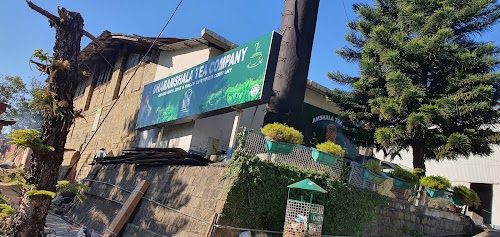 DHARMSALA TEA COMPANY