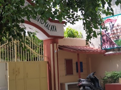 Dhirendra Mahila P.G. College