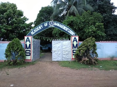 Academy Of Management Studies