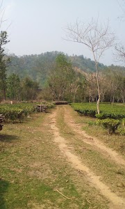 Bogamati Organic Private Limited