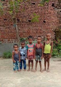 Yaduvansh Prasad Mishra Institute of Professional Studies