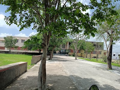 Government College, Bhim