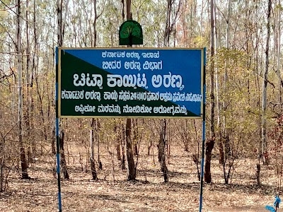 Mahadev Mandir KoliWada