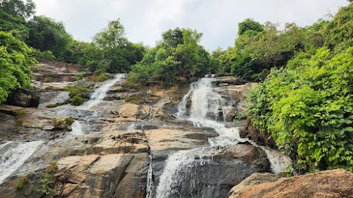 Ajodhya Hill and Forest Reserve Area