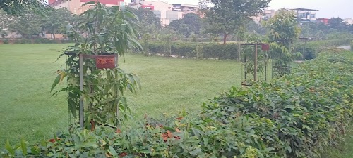 Patri Park