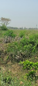 Milan Farm