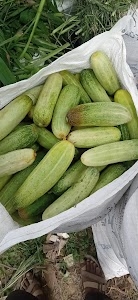 E Nam Mandi
