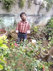 M Srinivas