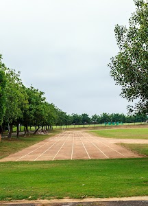 The Sagar School