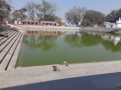 Tameshwar Nath Mandir
