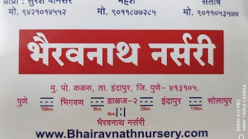 Bhairavnath nursery post -kalas, Tal- indapur ,dist -pune