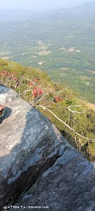 Jamalabad