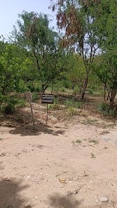 park
