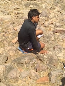 Raju Sharma Mobile Repairing