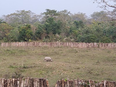 Manas National Park Camp Buraburi