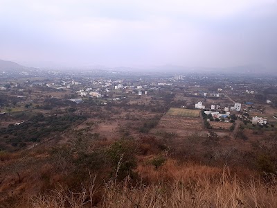 Xrbia Jungle