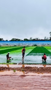 Bijapur chhattisgarh