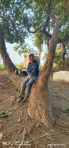 Jaimai