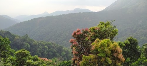 Shahzad Nagar