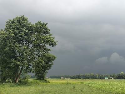 Rajesh makhana store jaughatta