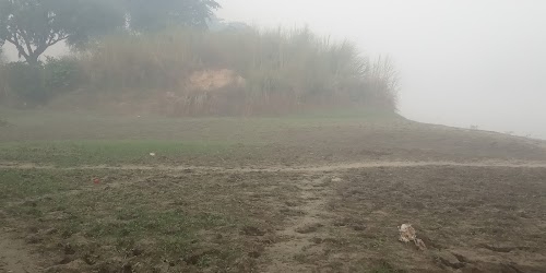 Wallipur