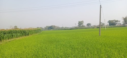 Arihana School
