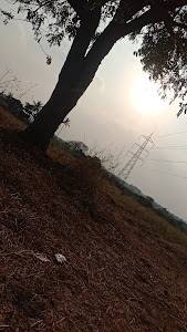 Savali