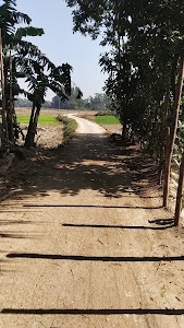 Malida School Road