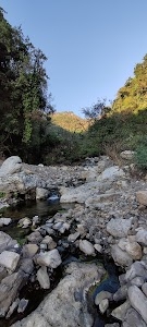 camp in dhanaulti