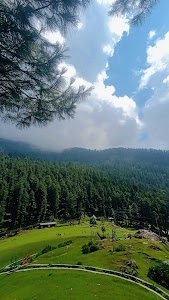 Bimal Naag Temple