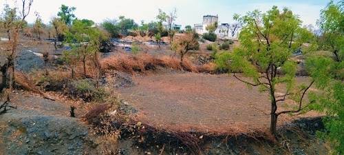 Rayta Khera