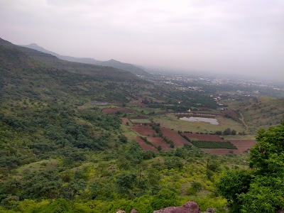 Peace View Valley