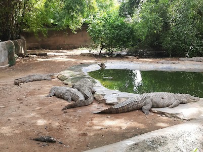 Gwalior Zoo