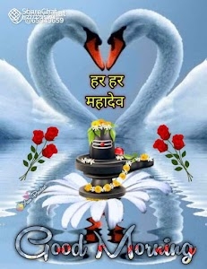 Anil KumaR