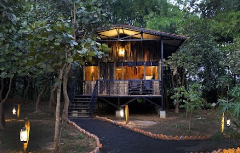 MOGLI RESORT, Kanha National Park.
