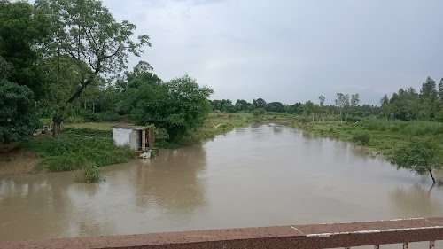 Bikauli