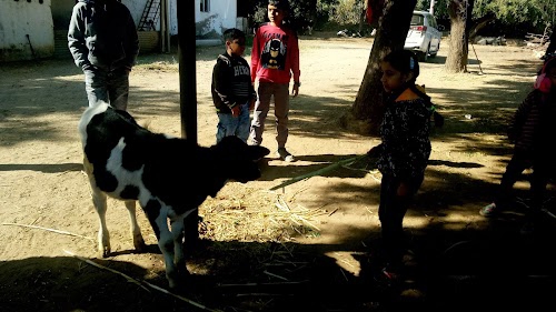 Bamroli