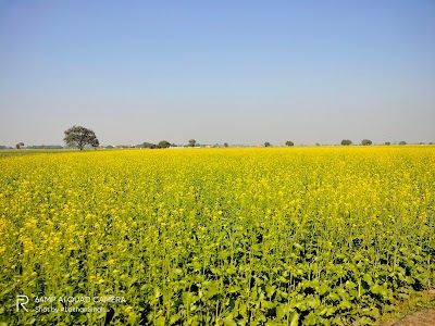 Jaffarpur Kalan