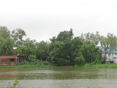 Piparpati